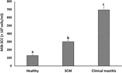 A Comparative Study on Changes in Total and Differential Milk Cell Counts, Activity, and Expression of Milk Phagocytes of Healthy and Mastitic Indigenous Sahiwal Cows